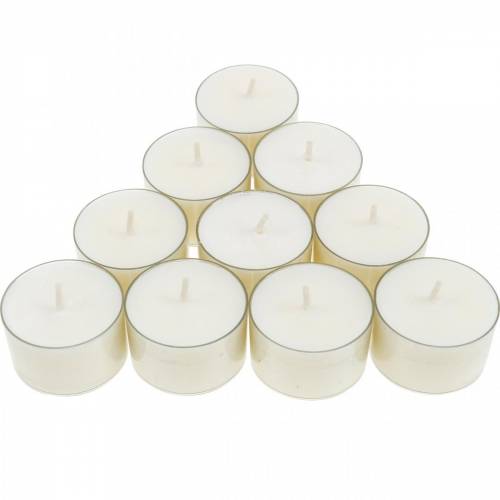 Floristik24 Velas de té PURE Nature Lights de cera de colza, duración de combustión natural: 7 horas, 18 unidades