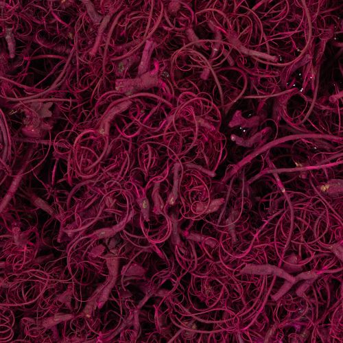 Artículo Suministros para manualidades con fibra natural de tamarindo, color burdeos, 500 g - Decoración, floristería, creatividad