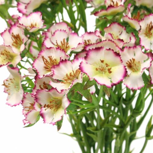 Floristik24 Ramo de Claveles Blanco, Morado 34cm