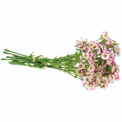 Floristik24 Ramo de Claveles Blanco, Morado 34cm