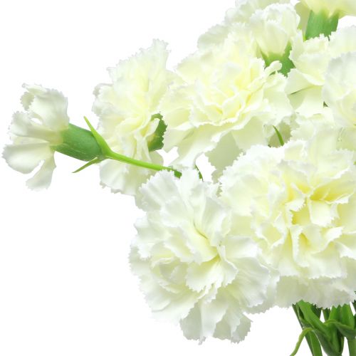 Floristik24 Clavel Blanco 64cm 4uds