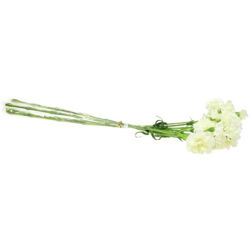 Floristik24 Clavel Blanco 64cm 4uds