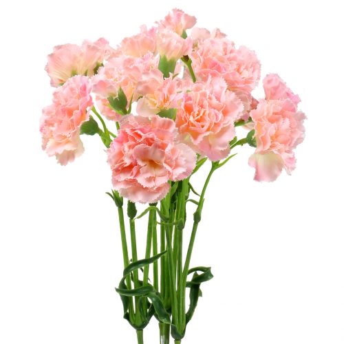 Floristik24 Clavel rosa 64cm 4uds