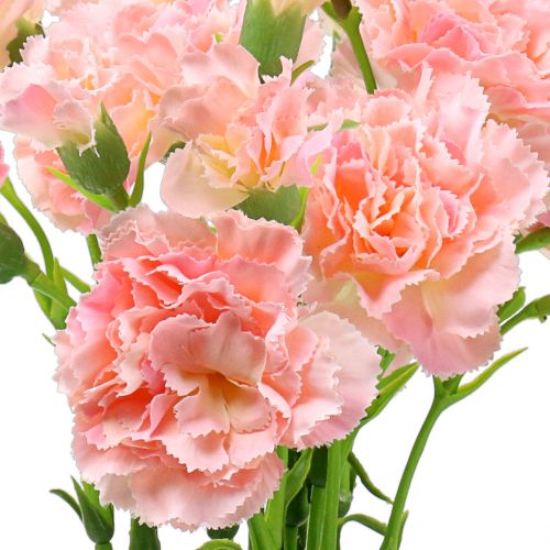 Floristik24 Clavel rosa 64cm 4uds