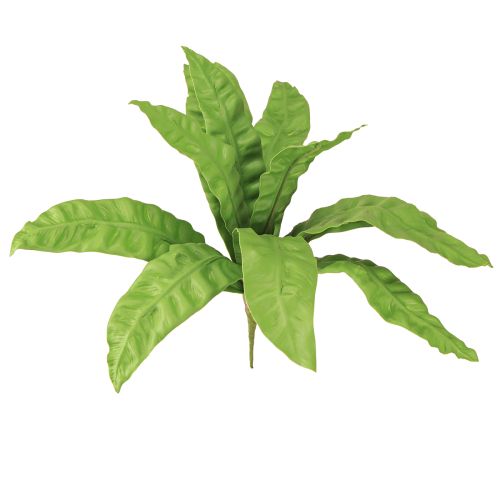 Floristik24 Plantas artificiales Helecho nido de pájaro 5,5×22cm 2 uds