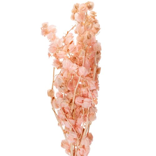 El tallo de flor seca crea una atmósfera romántica para cualquier sala de estar (75 cm)