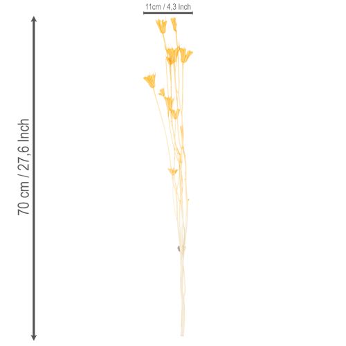 Artículo Arreglo de flores secas de Nigella para uso prolongado. Elegante y atractivo. 70 cm, 50 g.