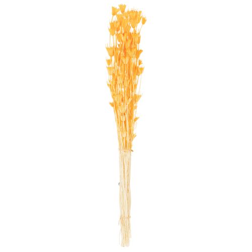 Artículo Arreglo de flores secas de Nigella para uso prolongado. Elegante y atractivo. 70 cm, 50 g.