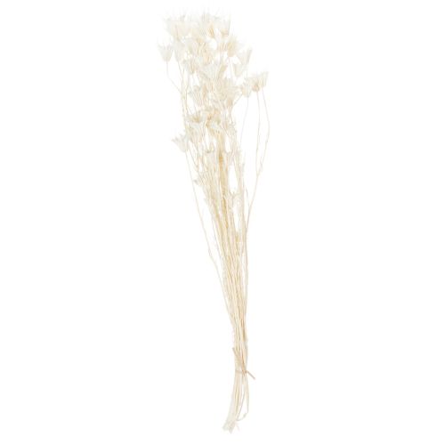 Artículo Flores secas de Nigella, ramo de elegante decoración natural para interiores exclusivos, 70 cm, 50 g
