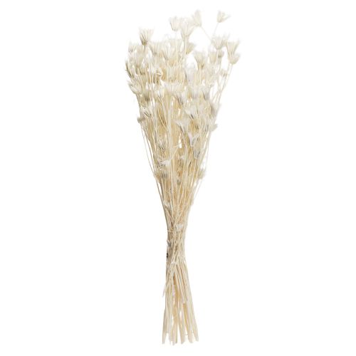Artículo Flores secas de Nigella Orientalis, comino negro, blanco, 50 cm, 100 g