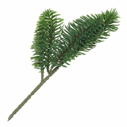 Floristik24 Nobilis rama de abeto verde artificial 24cm 12pcs