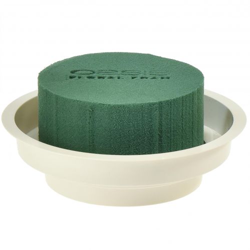 Floristik24 OASIS® Junior Completo 12uds