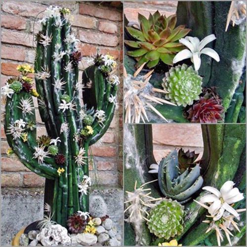 Artículo Figura floral foam cactus negro 38cm x 74cm