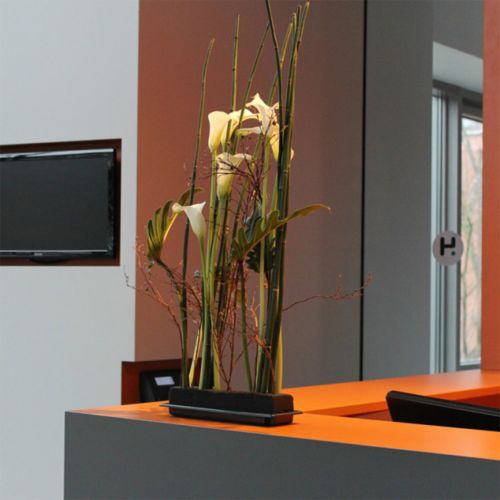Artículo OASIS® Black Table Deco Medi Floral Espuma 4uds