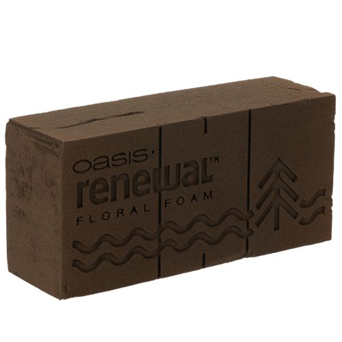 Espuma floral Oasis Renewal de 23 cm, 1 bloque comprar | Floristik24.es