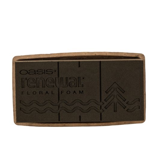 Espuma floral 1/1 ladrillo OASIS® Renewal® Espuma floral Biolit® 24cm 2 piezas comprar | Floristik24.es