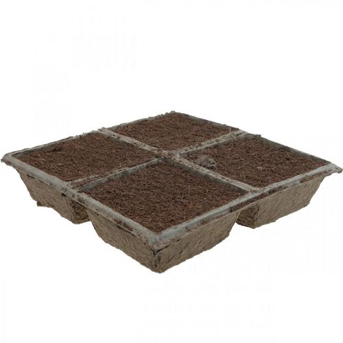 Floristik24 OASIS® TerraBrick™ compuesto enchufable compostable 8 piezas