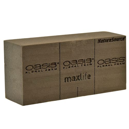 Floristik24 Oasis NatureSource Maxlife Floral Ladrillo Espuma Marrón 23×11×7.5cm 1ud