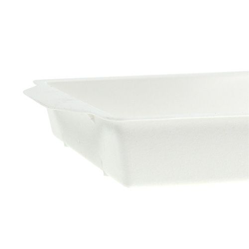 Artículo Cuenco enchufable OASIS® blanco 23cm x 11,5cm x 2,5cm 5 uds.