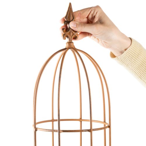 Artículo Enrejado de jardín, soporte para rosales y otras plantas trepadoras, diseño de jardín ideal, 108 cm, juego de 2.