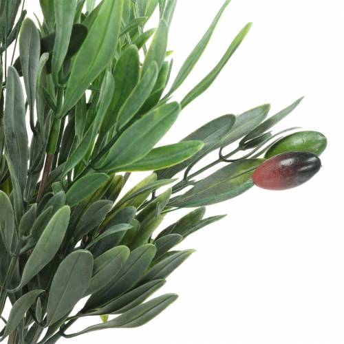 Floristik24 Rama de Olivo Artificial Verde 27cm 7 hilos