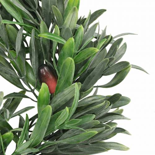 Floristik24 Corona de olivo verde artificial Ø28cm decoración mediterráneo