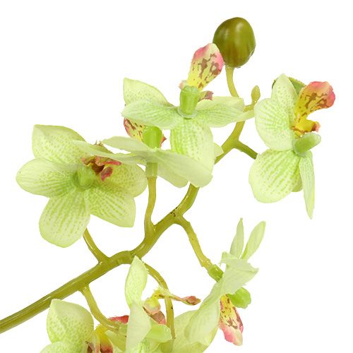Artículo Orquídea 97cm verde claro
