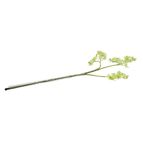 Floristik24 Orquídea 97cm verde claro