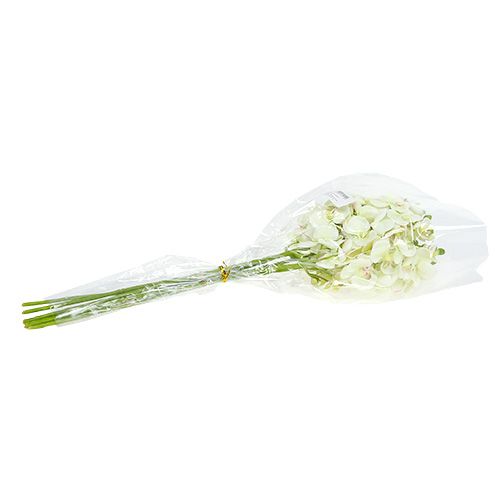 Artículo Orquidea verde claro 56cm 6uds