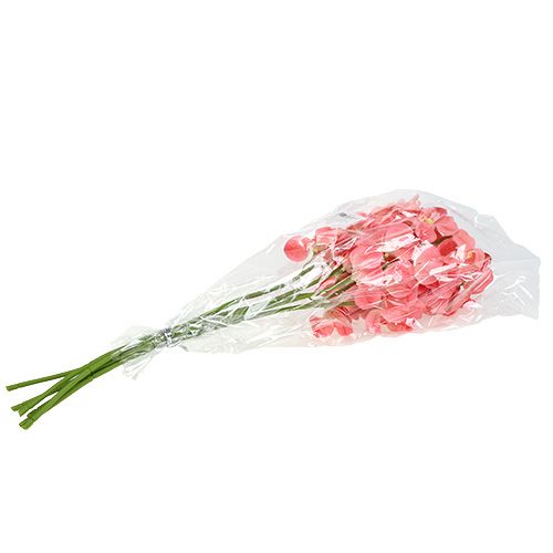 Artículo Orquídea Mokara Salmón 50cm 6uds