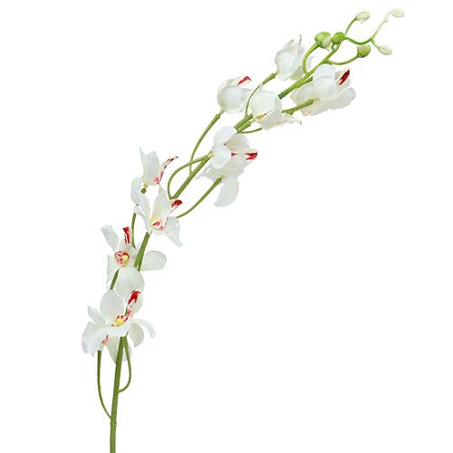 Floristik24 Orquídea Mokara Blanco 92cm 3pcs