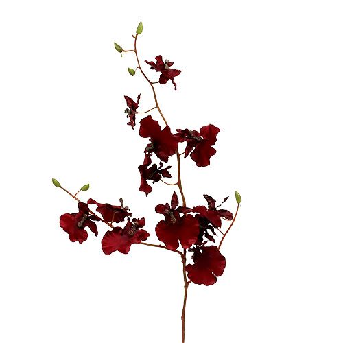 Floristik24 Orquídea Oncidium 70cm rojo oscuro 3 piezas