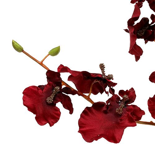 Floristik24 Orquídea Oncidium 70cm rojo oscuro 3 piezas