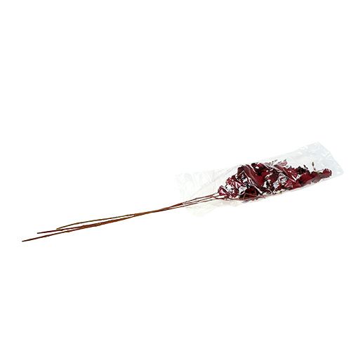 Floristik24 Orquídea Oncidium 70cm rojo oscuro 3 piezas