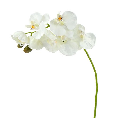 Floristik24 Orquídea blanca artificial L73cm 4pcs