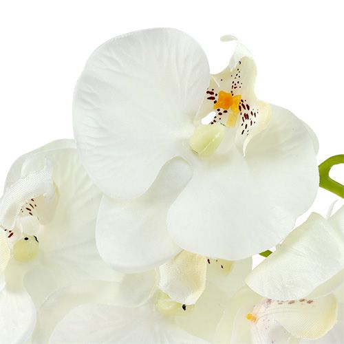 Artículo Orquídea blanca artificial L73cm 4pcs