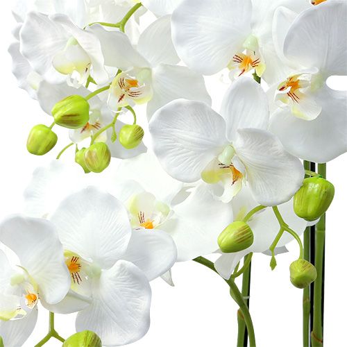 Artículo Orquidea blanca con globo 110cm