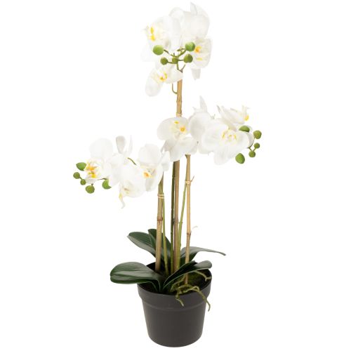 Floristik24 Orquídea artificial en maceta para un ambiente armonioso, blanca, 60cm