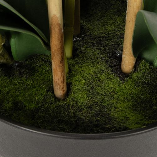 Artículo Orquídea artificial en maceta para un ambiente armonioso, blanca, 60cm