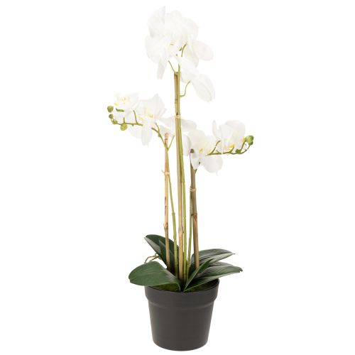 Artículo Orquídea artificial en maceta para un ambiente armonioso, blanca, 60cm