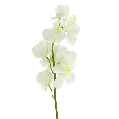 Artículo Crema de orquídeas artificiales 50cm 6pcs
