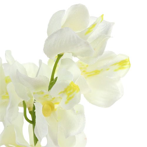 Artículo Crema de orquídeas artificiales 50cm 6pcs