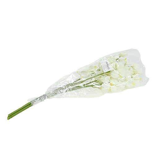 Artículo Crema de orquídeas artificiales 50cm 6pcs