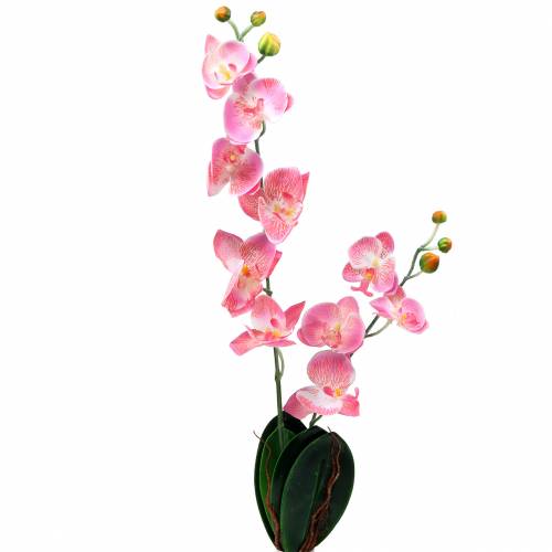 Floristik24.es Orquídea Phalaenopsis artificial rosa 60cm - comprar barato  en línea