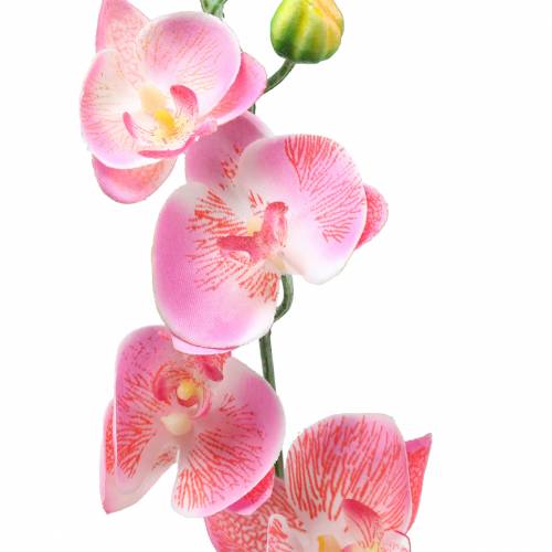 Floristik24 Orquídea Phalaenopsis artificial rosa 60cm