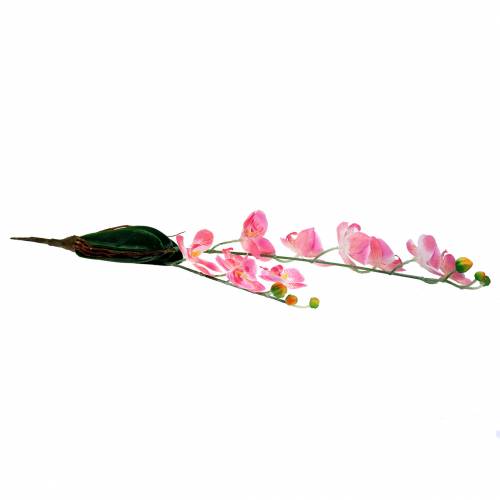 Floristik24 Orquídea Phalaenopsis artificial rosa 60cm