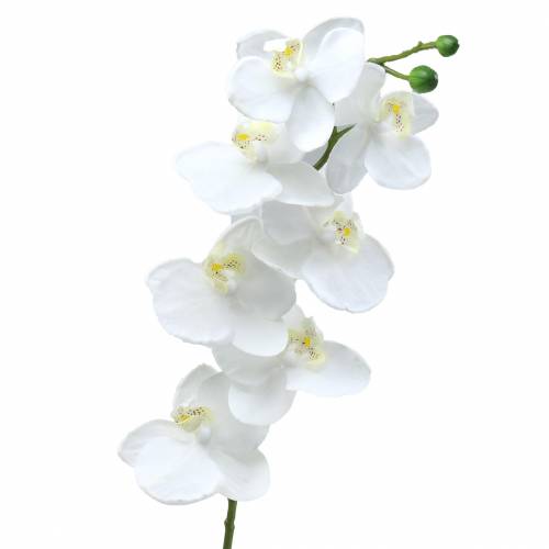 Floristik24 Orquídea artificial flor artificial blanca Ø6,5-8cm 77cm