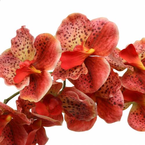 Artículo Orquídea artificial Phaelaenopsis rojo, naranja Al 81cm