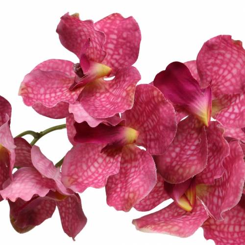 Floristik24 Rama de orquídea artificial Rosa H83cm