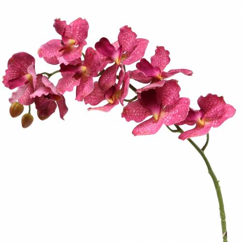 Floristik24 Rama de orquídea artificial Rosa H83cm